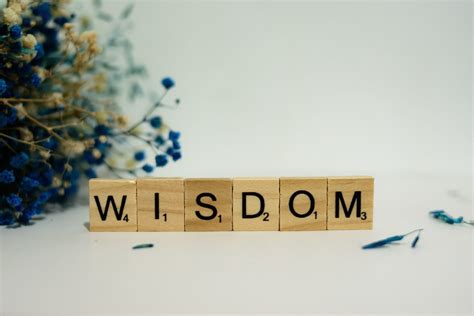 How to download porn and other words of wisdom.
